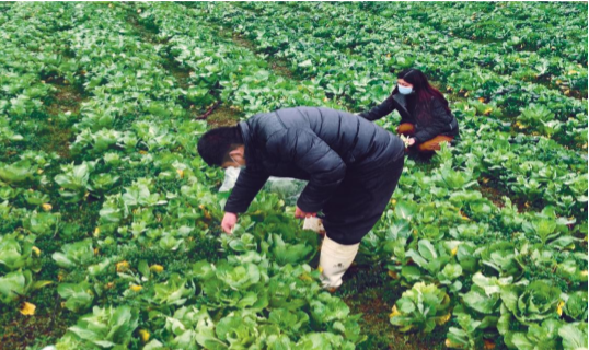 微信图片_20200304145448