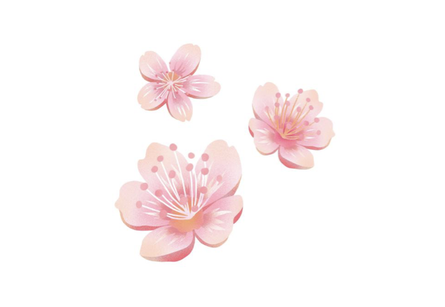 1586224829704273.png image.png