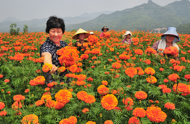 1597284169546844.png image.png