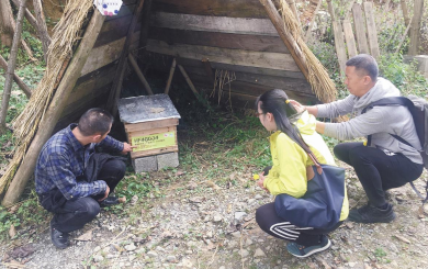 1596582311988759.png image.png