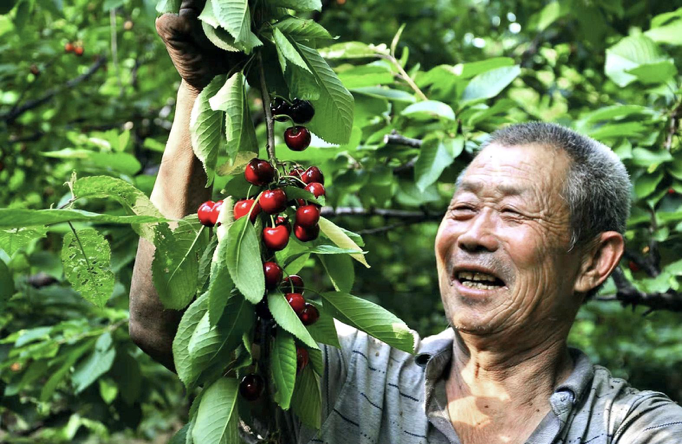 1609205003471389.png image.png