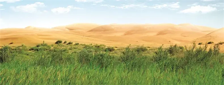 图片3.png 图片3.png