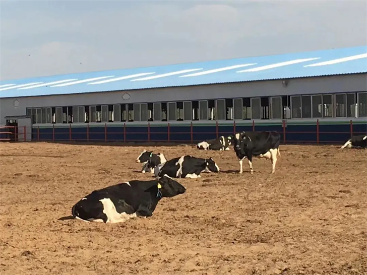 图片4.png 图片4.png