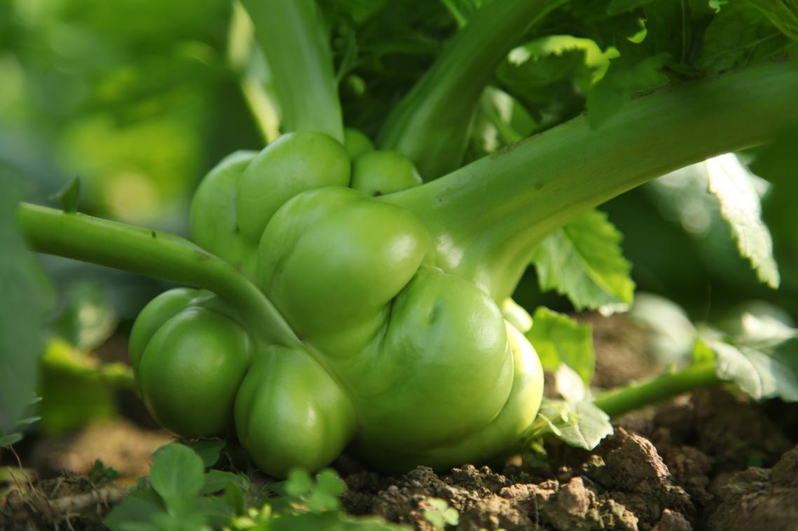 /UploadFiles/2021/75/b2132560222751156514CMZ.png /UploadFiles/2021/75/b2132560222751156514CMZ.png