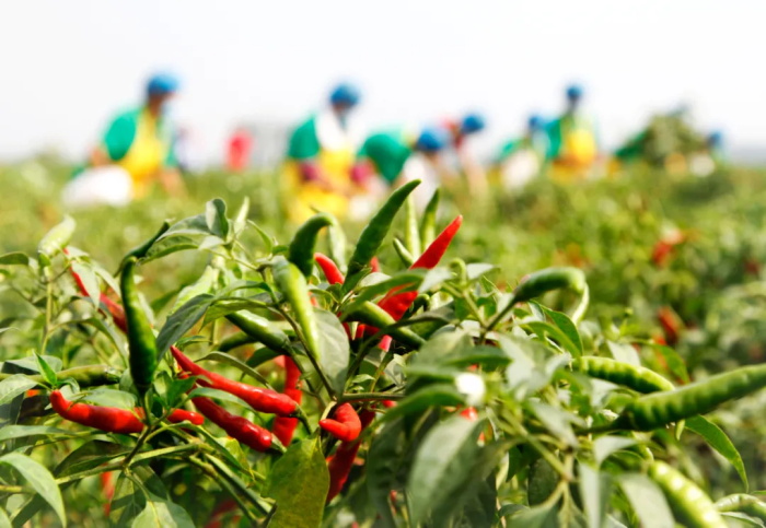 1635843898443718.jpg 2.jpg