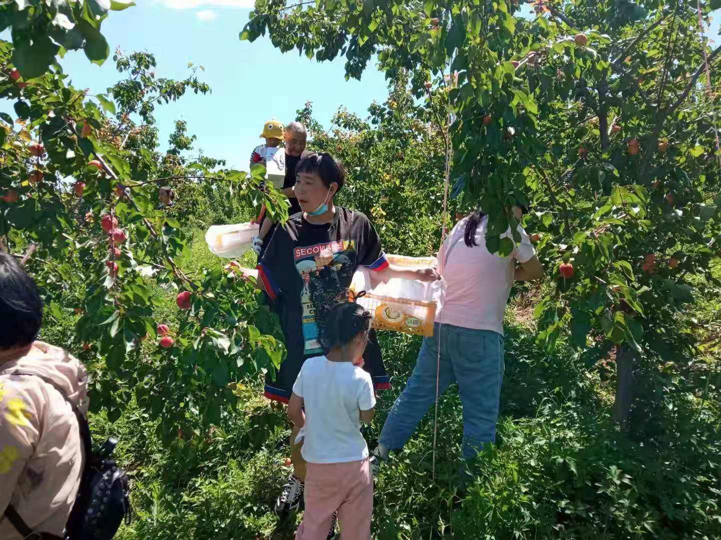 微信图片_20210628091042.jpg 微信图片_20210628091042.jpg