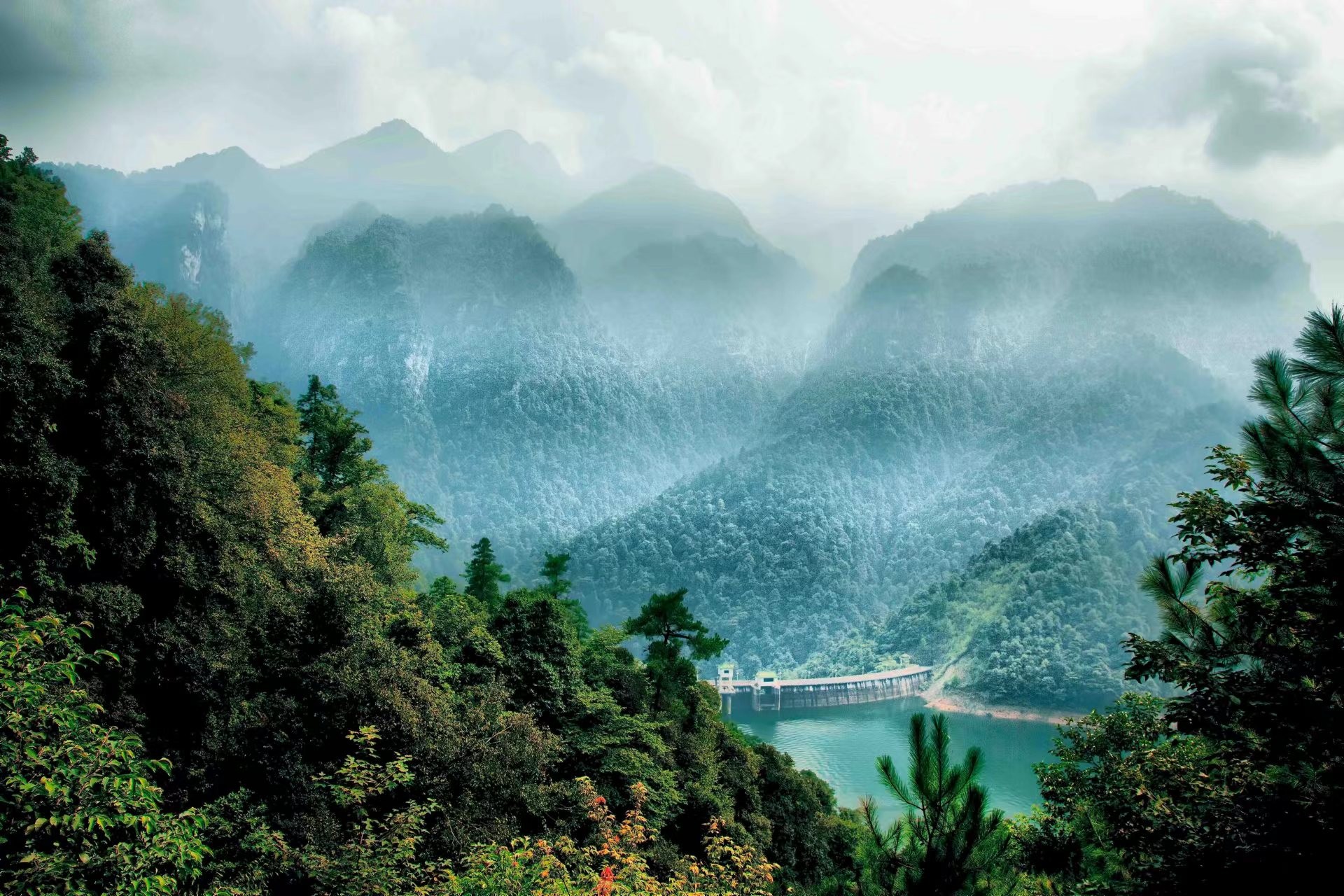 1653644611148374.jpg e195b6b0612d3dc917781a43a8cf366.jpg