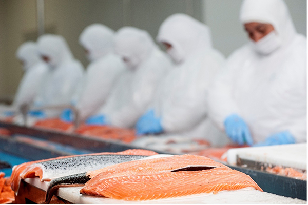 7图片 1.jpg 7图片 1.jpg