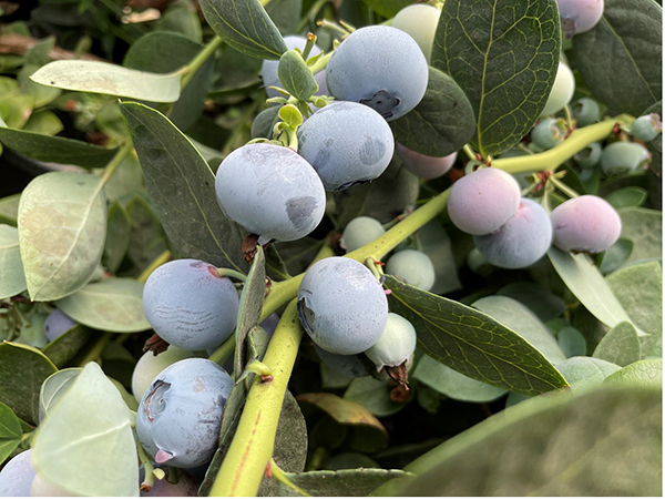 8图片 1.jpg 8图片 1.jpg