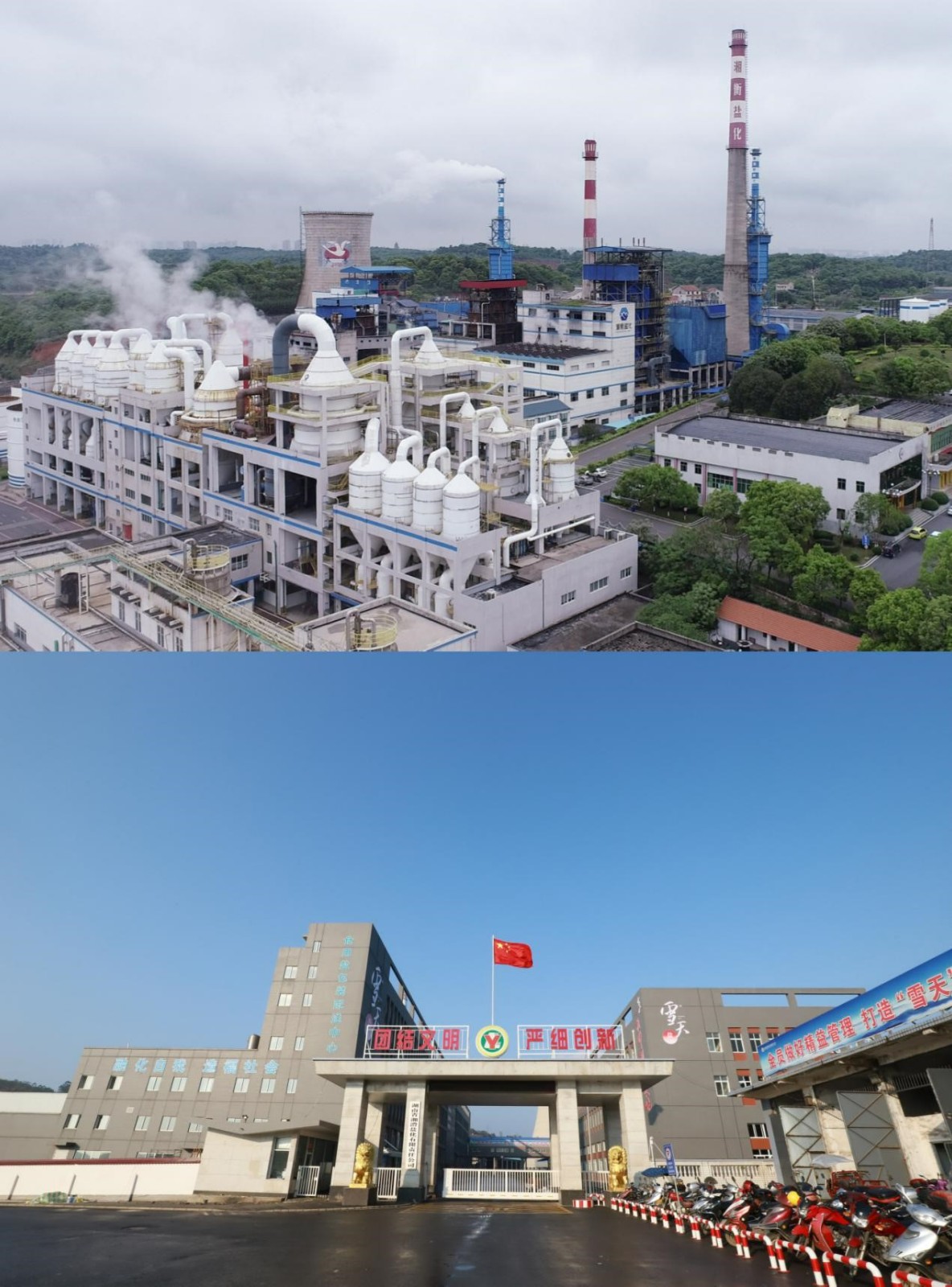 图片1.jpg 图片1.jpg