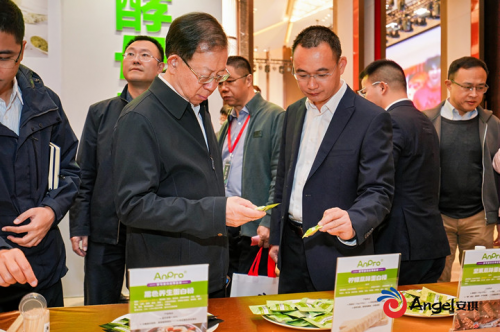 43ab4e4c1ea7041df233a5b35c96a02d_b4133784650935083527CKE.png 43ab4e4c1ea7041df233a5b35c96a02d_b4133784650935083527CKE.png