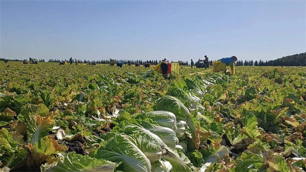 1728704909607106.png 图片4.png